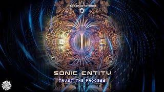 Sonic Entity - Trust The Process