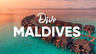 Scuba Diving in the Maldives