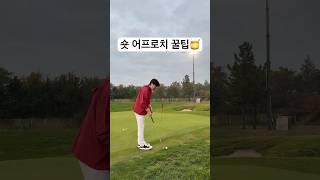 짧은 어프로치 꿀팁 #golf #골프 #골프레슨 #어프로치 #숏게임 #shorts #필드레슨