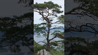 올라갈 때는 몰랐다. 산이름에 '악'이 들어간 이유를, 춘천 삼악산