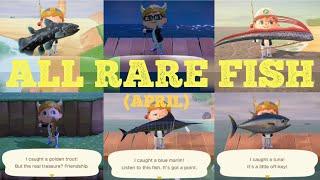 Catching All 6 Rare Fish [April] - Animal Crossing New Horizons