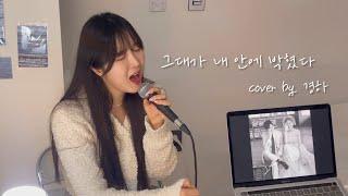 부장님 커버 말고 mz사원..? (+5key) 그대가 내 안에 박혔다 cover by 경하