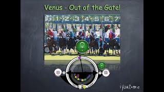 iyoutome - Venus out of the gate