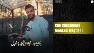 Mohsen Meydani - Che Cheshmaei | محسن میدانی - چه چشمایی