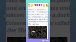 What is Humus ? #shorts#study #education#humus #youtubecreator#viral