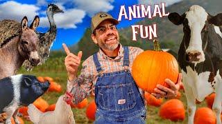 Farm Animal Fun with Pumpkins! (Fun Educational Video for Kids and Families)