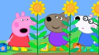 Peppa Pig And The Playgroup Create A Garden   Playtime With Peppa