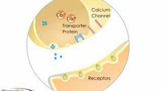 Neurotransmitter Criteria