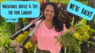 How to Keep Your Florida Garden Thriving! Maintenance Advice and Tips🪴