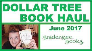 Book Haul from Dollar Tree! | SniderBeeBooks