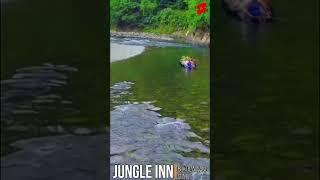 Jungle Inn Bukit Lawang #shorts