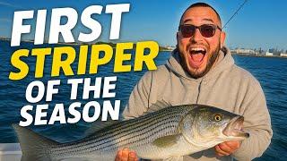 Striped Bass Are Back! Boston Harbor Day One 2025 #bostonharbor #stripedbass #stripedbassfishing