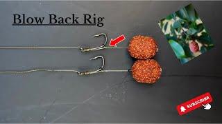 Blow Back Rig for Carp Fishing by Foris Fisherman Carp Hunter