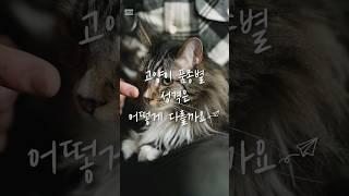 고양이 품종별 성격은 어떻게 다를까요? #cat #고양이 #catlover #cutecat