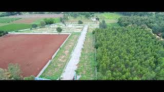 Premium Villa Plots in Bangalore - Walk-Through | Sarjapur Road | Natural Equation Phase 2