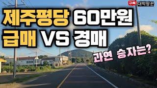 제주 경매 VS 급매 어느것이 더 좋을까? 부동산 경매 토지경매 #부동산투자 #부동산 #토지투자 #토지경매 #농지연금 #투자 #재테크 #제주토지 #