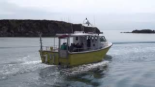 Three boats from the Islay Sea Adventures fleet depart Port Ellen, island of Islay Scotland 31.7.24