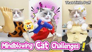 Meow Chef: Mindblowing Cat Challenges! 🫢| That Little Puff