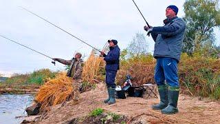 Ловили ВСІ мішками! ТОННИ риби стоїть під корчем! Рибалка на СПІНІНГ з берега!