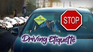 Driving Etiquette #53 - untitled.wtf