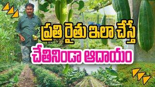 మిశ్రమ పంటలతో రెండింతల ఆదాయం గ్యారెంటీ | Meesala Ramakrishna