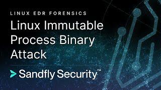 Linux Immutable Malware Process Binary Attack