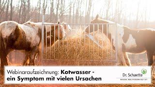 Webinar-Aufzeichnung: Kotwasser – ein Symptom mit vielen Ursachen