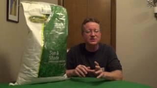 Best Grass Seed for Overseeding a Lawn