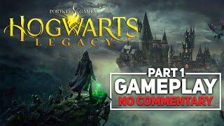 🟣 Hogwarts Legacy Gameplay | No Commentary | Part 1—Starting the Game