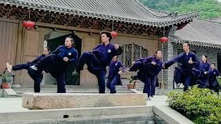 Wushu performance by student