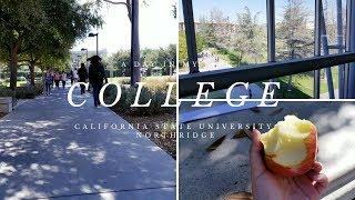 A Day in My Life: College Edition! | CSU Northridge