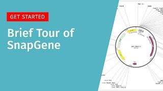 Getting Started: Brief Tour of SnapGene