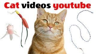 고양이가 좋아하는 영상 3분마다 바뀌는 영상 고양이 장난감 34탄 cat games youtube TV또는 스마트폰으로 틀어주세요.