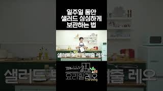 샐러드 7일간 싱싱하게 보관하는 법