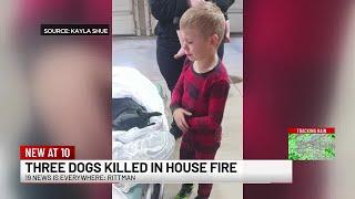 3 dogs killed in Rittman house fire