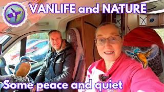 First CAMPERVAN trip of the year at a HIDDEN GEM - UK Vanlife - adventures in wildlife