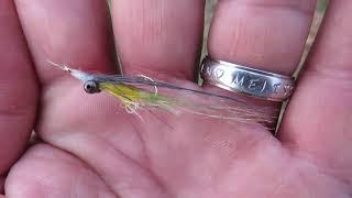 FishTales: Test-a-fly Skimpy Clouser