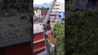 8610339350 tree cutting Suyambu #shorts kaniyakumari