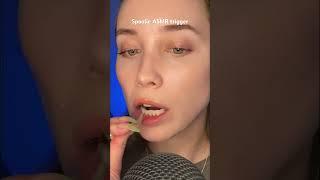 ASMR chewing spoolie trigger