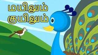 மயிலும் குயிலும் - Tamil Story For Children | Story In Tamil | Moral Stories In Tamil | Kids Story