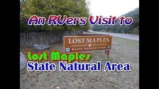 RV Camping Lost Maple State Park  Vanderpool , TX