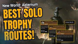 New World Aeternum: BEST Solo Trophy Routes (Easy Money!)