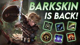 WARDEN'S BARKSKIN - Mechanics & Interactions, How good is it? | Path of Exile: Settlers of Kalguur
