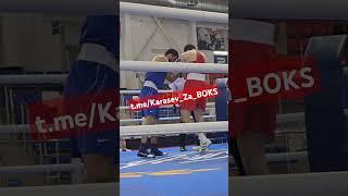 полутяжелый вес на Первенстве России по боксу среди молодёжи 2024 #boxing #sports #бокс