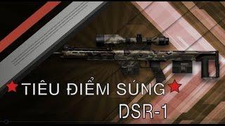 [Tiêu Điểm Súng] DSR-1