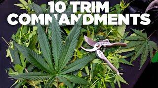 Pruning and Defoliation 101 - Top 10 Tips Every Grower Should Know