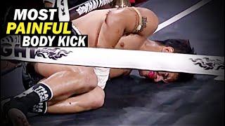 The Most PAINFUL Body Kick 2024 ( MMA, Muay Thai & Kickboxing )