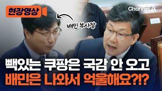 [현장영상] 배민 부사장이 국감 온 이유가 빽이 없어서? / 채널A