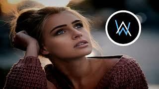 Alan Walker & Fad Away 5 Inspiration 2024