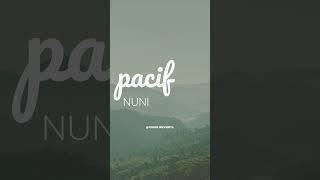 Best Font Pairings in Canva!